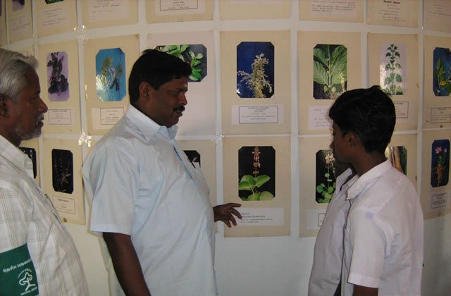 yoganathan-049
